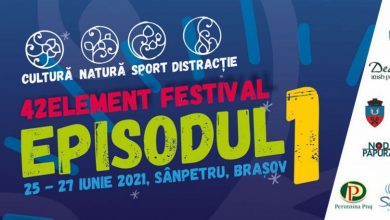 festival_13.jpg