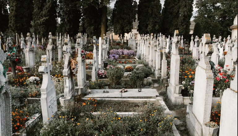 Cum te poate ajuta o firmă de servicii funerare din sectorul 5 să ridici un monument in memoriam? 1 serviciifunerare.png