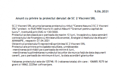 viscreeni.png