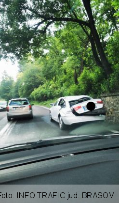 BRAȘOV. Copac căzut peste un autoturism, pe DN 1 (FOTO) 1 FB_IMG_1625585395446_289372.jpg