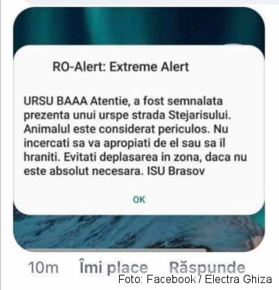 ISU BRAȘOV, prin RO-Alert: „URSU BAAA" 1 FB_IMG_1632169994558_291343.jpg