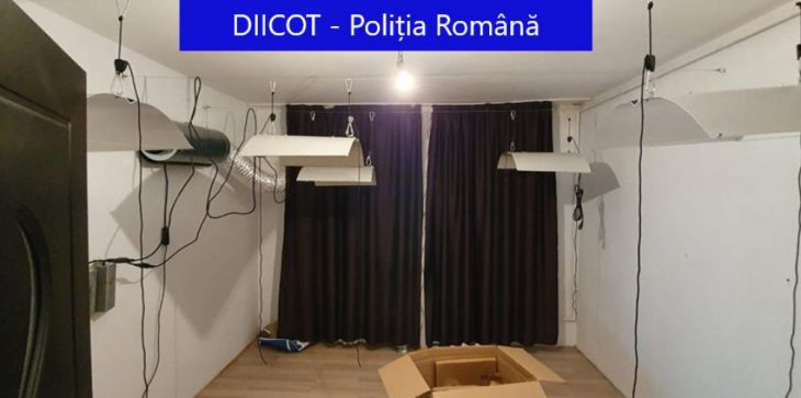 Cultură indoor de cannabis, descoperită în BRAȘOV (Galerie FOTO) 1 WhatsApp Image 2021-10-12 at 11.41.37 (2)_291902.jpeg