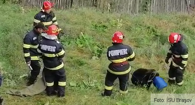 puideurs.png