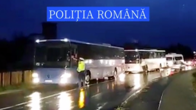 transport 3_291992.png