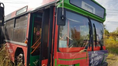 bibliobus_293029.jpeg