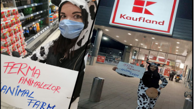 kauflandferma.png