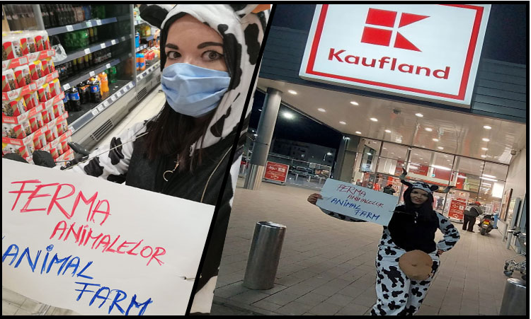 PROTEST. Kaufland - „Ferma Animalelor”?!... 1 kauflandferma.png