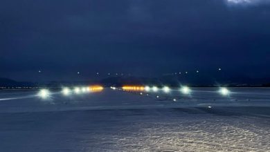 aibg1_293521.jpg