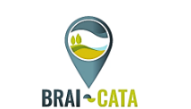 braicata2_4.png