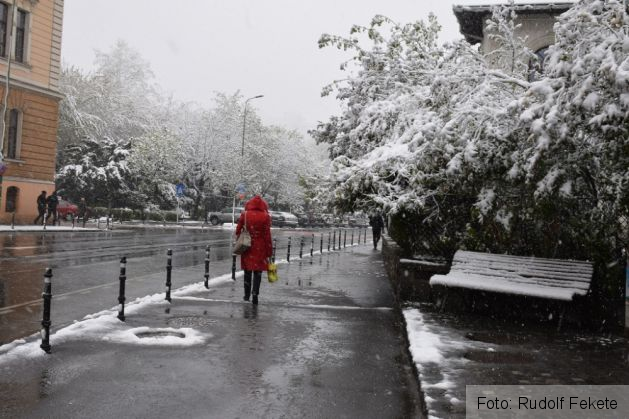 iarnaninsoareaprilie (10)_234615.JPG