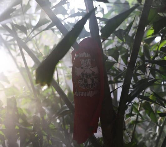 SURVIVOR ROMÂNIA, start pe PRO TV. Ei sunt FAIMOŞII. Când începe show-ul din Republica Dominicană 1 survivor_4.jpg