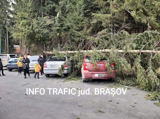 Brad căzut peste autoturisme, în Poiana Brașov 1 FB_IMG_1641639638405_293816.jpg