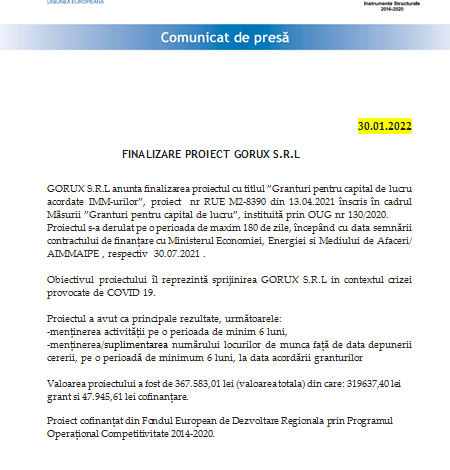 FINALIZARE PROIECT GORUX S.R.L 1 gorux.png