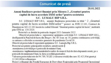 lumalu_2.png