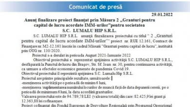 lumalu_3.png