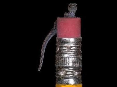 Cea mai mică șopârlă din lume este cât guma unui creion 5 | MyTex.ro