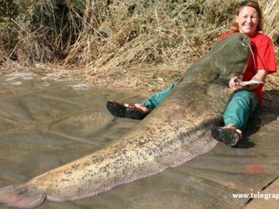 O femeie oarbă a prins un pește de 100 kg! 5 | MyTex.ro