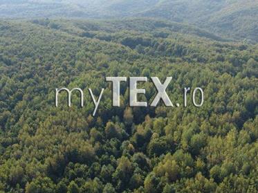S-au salvat 4 ha de pădure 5 | MyTex.ro