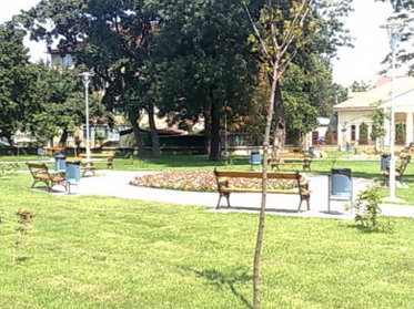 Primăria are în plan un regulament de protecție a mediului în municipiu 5 | MyTex.ro