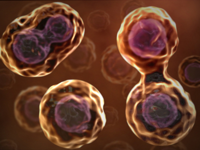 Bâlbâiala este moștenită genetic 5 | MyTex.ro