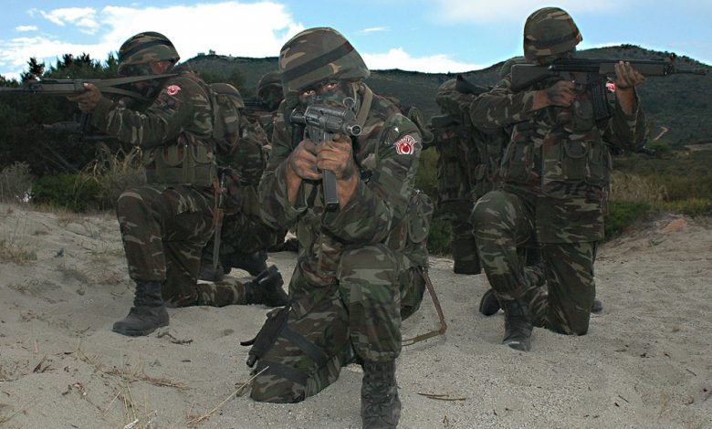 Manevre militare NATO la granița Rusiei 5 | MyTex.ro