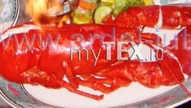 | MyTex.ro