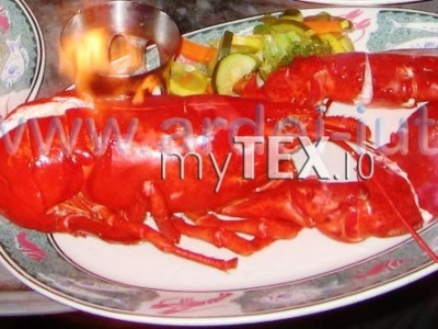 | MyTex.ro