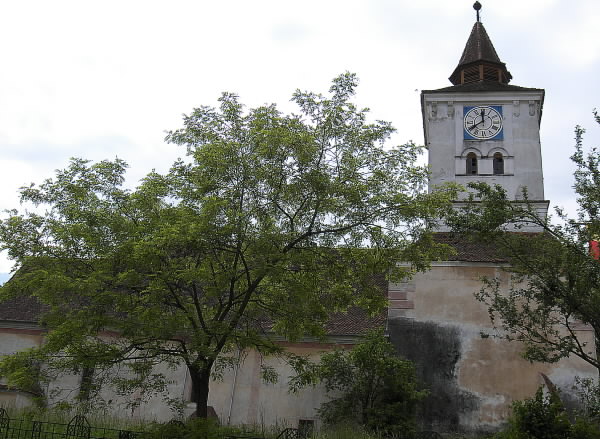 Brașov. Polițiști atacați la Măieruș 5 | MyTex.ro