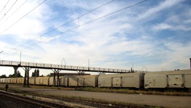 O fetiță de 3 ani și-a găsit mama fără suflare | MyTex.ro