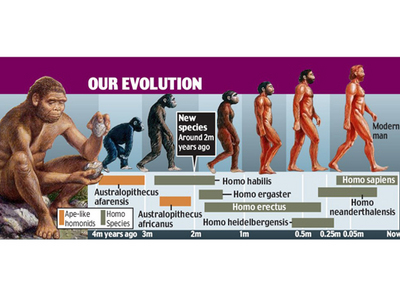 O "verigă lipsă" în evoluția omului, descoperită în Africa 5 | MyTex.ro