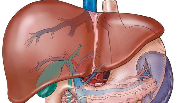 Pacienții cu afecțiuni hepatice sunt îngrijorați de introducerea coplății 5 | MyTex.ro