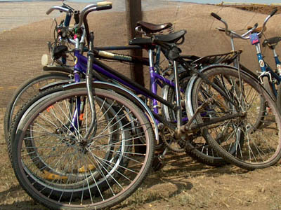 Trenuri cu vagoane pentru biciclete, numai de 1 mai 5 | MyTex.ro