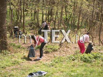 Lacul din Noua strălucește de curățenie 5 | MyTex.ro