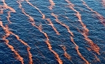 Golful Mexic, în pragul unei catastrofe ecologice 5 | MyTex.ro