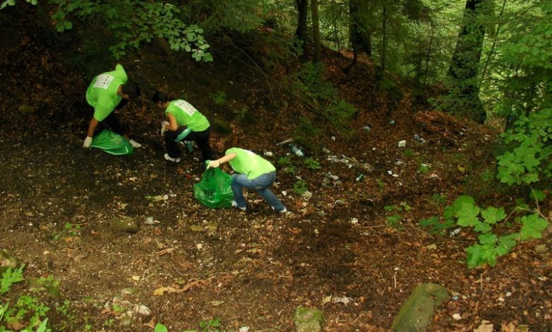 Brașov. Liceenii vor „Mai mult verde pentru Brașov” 5 | MyTex.ro