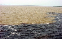 Catastrofa ecologică din Atlantic a scăpat de sub control 5 | MyTex.ro