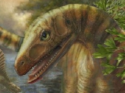 Transilvania - raiul dinozaurilor pitici 5 | MyTex.ro