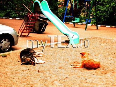 | MyTex.ro
