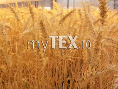 Fiscul vrea să „ciuruiască” evaziunea fiscală 5 | MyTex.ro