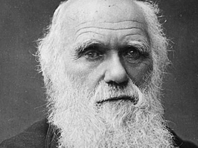 Jurnalul de călătorie al lui Darwin, scos la licitație 5 | MyTex.ro