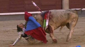 Toreador spaniol, mutilat de taur 5 | MyTex.ro