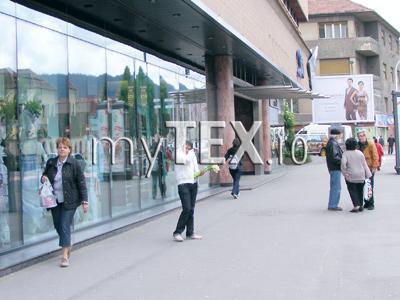 Unii apără narcisele, alții le vând 5 | MyTex.ro