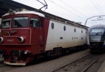 Trafic feroviar oprit din cauza a doi cai 5 | MyTex.ro