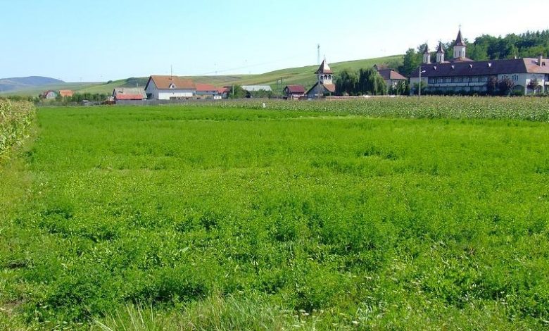 Brașov. Probleme de fond funciar, discutate la Recea 5 | MyTex.ro