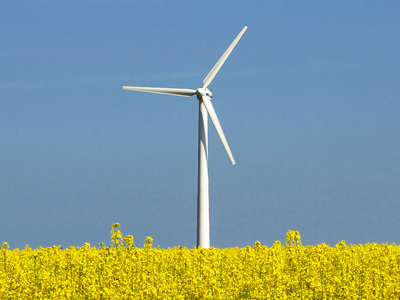 Centralele eolinene ar putea crește prețul electricității 5 | MyTex.ro