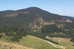 Cele mai vechi picturi rupestre din Europa Centrală, descoperite în Apuseni 5 | MyTex.ro
