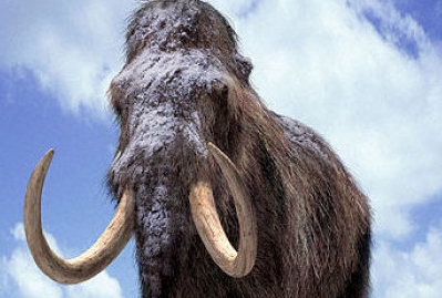 Fosile de mamut, descoperite în Moldova 5 | MyTex.ro