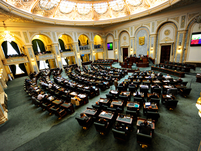 Candidatul PDL a câștigat alegerile pentru CCR 5 | MyTex.ro