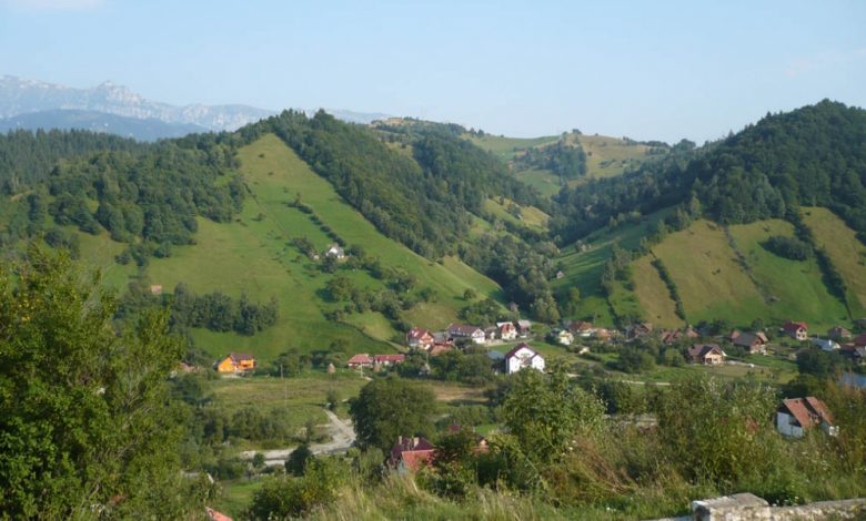 Brașov. Elevi, cazați la o pensiune ilegală din Moeciu de Jos 5 | MyTex.ro