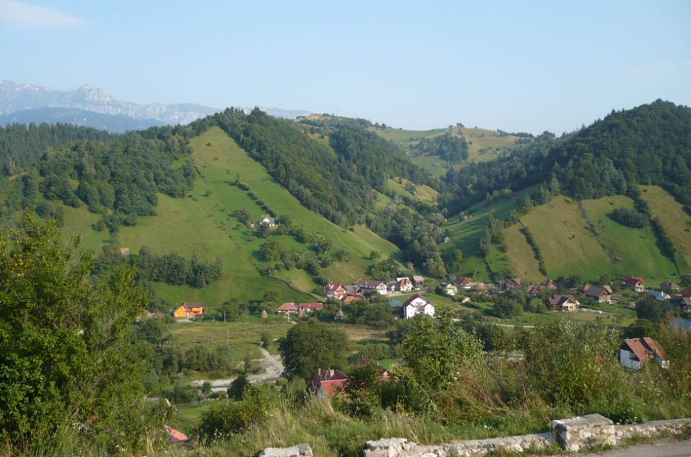 Brașov. Elevi, cazați la o pensiune ilegală din Moeciu de Jos 6 article_258077_1.jpg